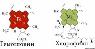 gemoglobin.jpg gemoglobin.jpg