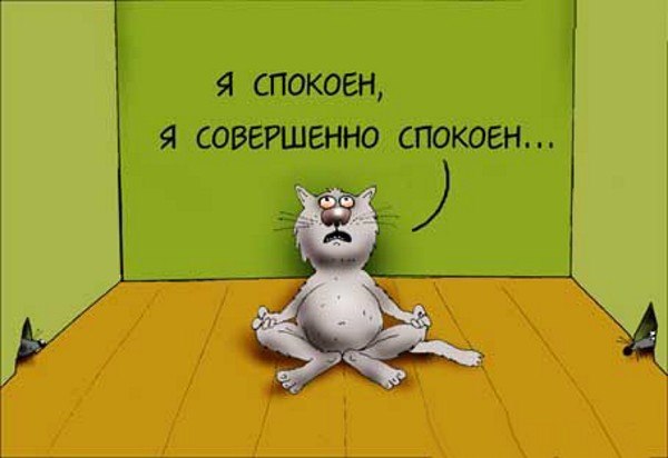 Психологическая помощь